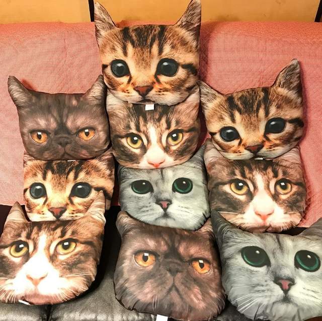 《日本大創貓頭抱枕》不會逼真到嚇壞家裡貓咪嗎?www 《日本大創貓頭抱枕》不會逼真到嚇壞家裡貓咪嗎?www