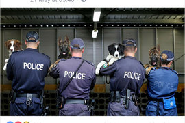 《誰說警察不會開玩笑》澳洲的波麗士大人都這麼幽默嗎? 《誰說警察不會開玩笑》澳洲的波麗士大人都這麼幽默嗎?