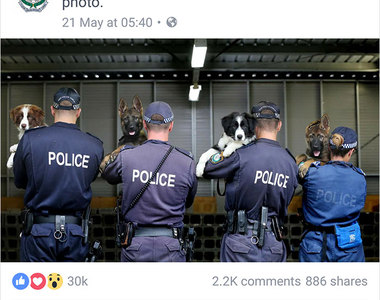 《誰說警察不會開玩笑》澳洲的波麗士大人都這麼幽默嗎? 《誰說警察不會開玩笑》澳洲的波麗士大人都這麼幽默嗎?