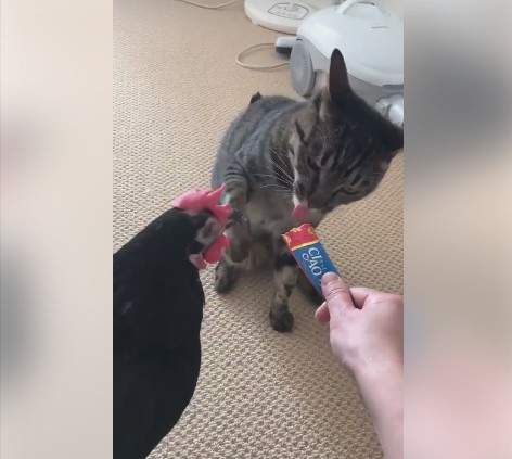 《萌萌》KUSO人生的一瞬之光系列ˊ之就是不給你吃XD