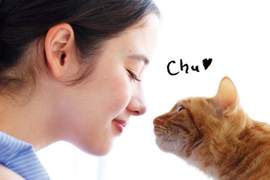 貓奴必敗《貓鼻唇蜜》再現親吻貓咪鼻子時冰冰又濕濕的感覺❤ 貓奴必敗《貓鼻唇蜜》再現親吻貓咪鼻子時冰冰又濕濕的感覺❤