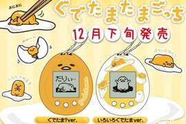 《電子蛋黃哥》可能是史上最懶的電子寵物12月發售預定 《電子蛋黃哥》可能是史上最懶的電子寵物12月發售預定