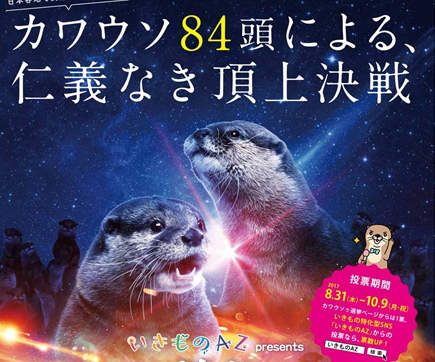 《水獺總選舉》集結全日本36間設施共84隻水獺的可愛票選激戰 《水獺總選舉》集結全日本36間設施共84隻水獺的可愛票選激戰