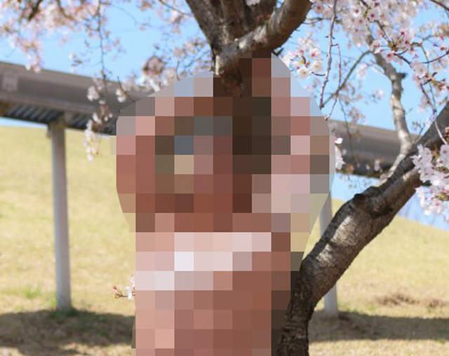 大膽露兩點《櫻花下的半裸寫真組圖》年輕肉體衝撞令人超興奮…… 大膽露兩點《櫻花下的半裸寫真組圖》年輕肉體衝撞令人超興奮……