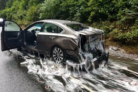《載滿盲鰻的卡車翻覆》整條公路都是我的濕滑黏液滑水道 《載滿盲鰻的卡車翻覆》整條公路都是我的濕滑黏液滑水道