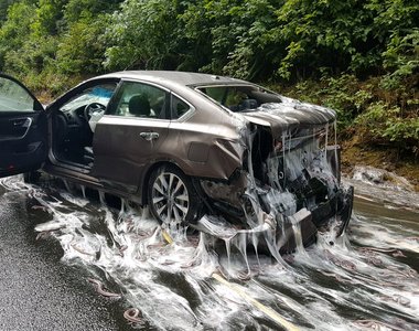 《載滿盲鰻的卡車翻覆》整條公路都是我的濕滑黏液滑水道 《載滿盲鰻的卡車翻覆》整條公路都是我的濕滑黏液滑水道
