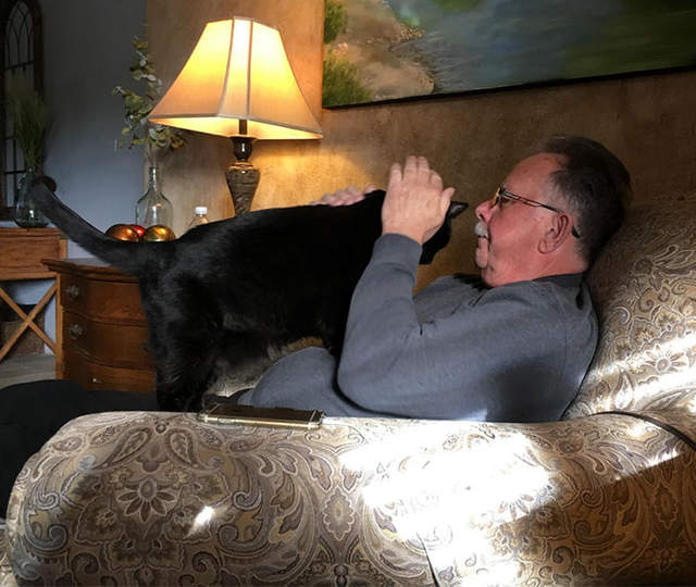 《那些說他不想養貓的人》嘴巴說不要身體倒是挺誠實的嘛~ 《那些說他不想養貓的人》嘴巴說不要身體倒是挺誠實的嘛~