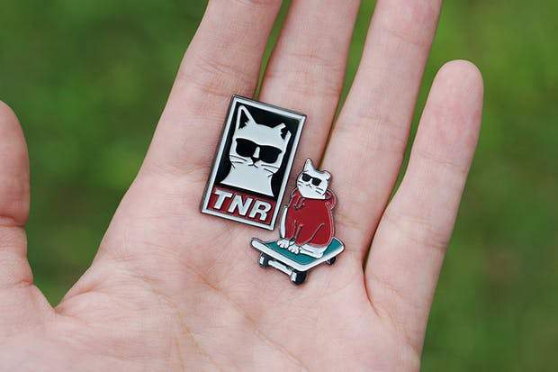 墨鏡下的傲嬌《帥氣節育喵》原來是為了生存傷痕累累的流浪貓