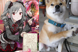 《偶像大師灰姑娘柴犬》構圖相同的愛豆乳與柴犬萌圖集 趴兔❤ 《偶像大師灰姑娘柴犬》構圖相同的愛豆乳與柴犬萌圖集 趴兔❤