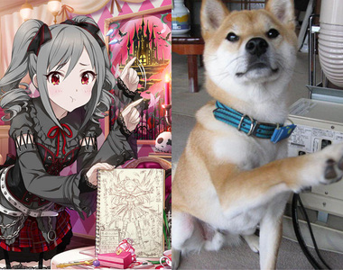 《偶像大師灰姑娘柴犬》構圖相同的愛豆乳與柴犬萌圖集 趴兔❤ 《偶像大師灰姑娘柴犬》構圖相同的愛豆乳與柴犬萌圖集 趴兔❤