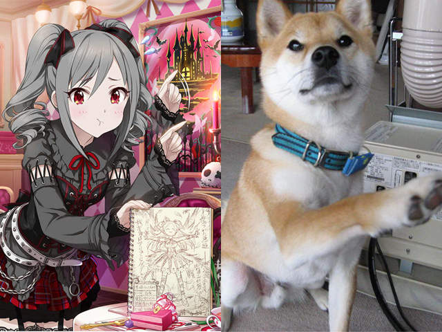 《偶像大師灰姑娘柴犬》構圖相同的愛豆乳與柴犬萌圖集 趴兔❤ 《偶像大師灰姑娘柴犬》構圖相同的愛豆乳與柴犬萌圖集 趴兔❤