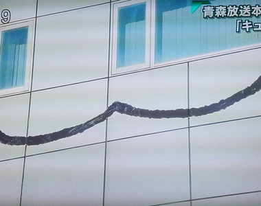 看起來毛毛的《蒼樹梅展in青森》超巨大QB等妳簽約成為魔法少女…… 看起來毛毛的《蒼樹梅展in青森》超巨大QB等妳簽約成為魔法少女……