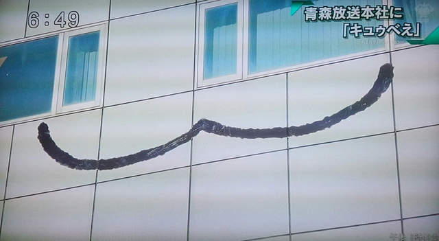 看起來毛毛的《蒼樹梅展in青森》超巨大QB等妳簽約成為魔法少女……