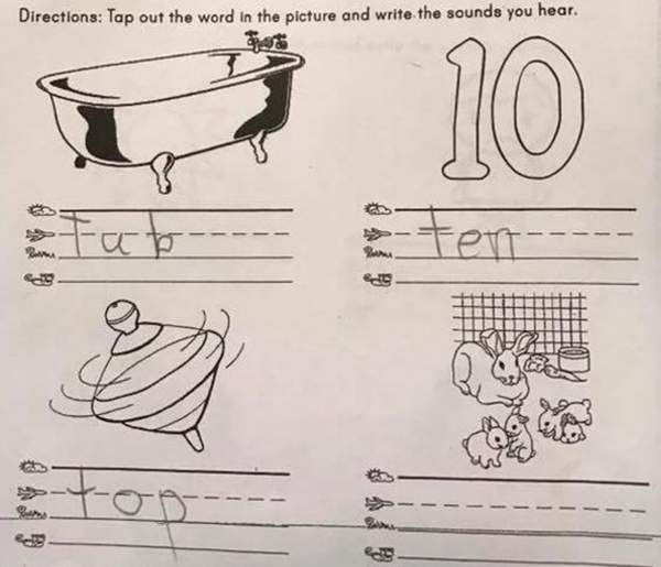 《讓大人傻眼的5歲孩童作業》到底最後一格要填什麼啦(´⊙ω⊙`)