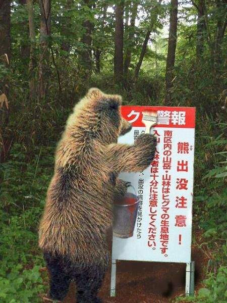 《創意熊出沒注意》在加拿大這方面的名產應該很好買吧? 《創意熊出沒注意》在加拿大這方面的名產應該很好買吧?