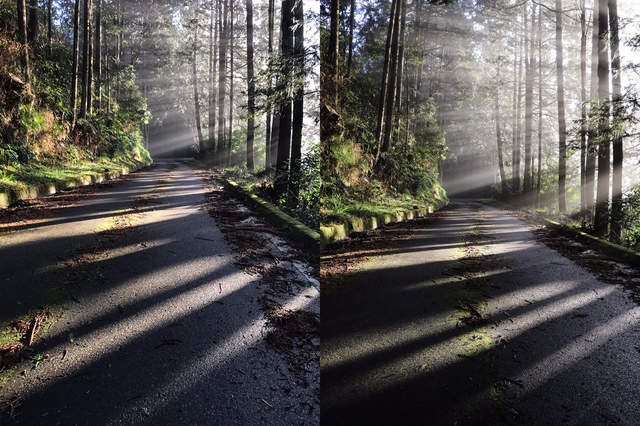 來自攝影師的挑戰狀《iPhone VS單眼》你能正確分辨手機還是相機拍的嗎？