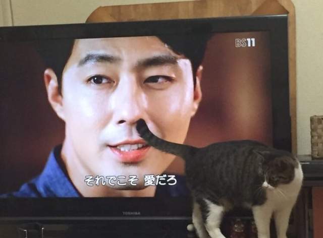 《真實存在的25個日本珍奇姓氏》姓「鼻毛」或「肥滿」到底該怎麼辦啊... 《真實存在的25個日本珍奇姓氏》姓「鼻毛」或「肥滿」到底該怎麼辦啊...