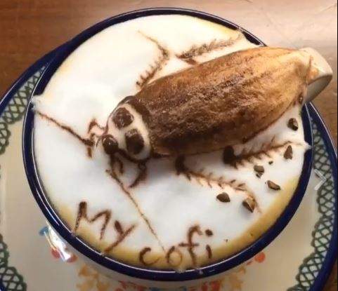 高超功力的《仿真咖啡拉花》不能只有我看到阿