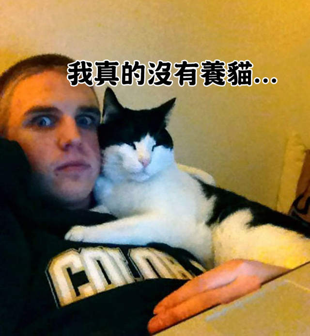 《這不是我的貓》這不就表示該收編了嗎？（笑）