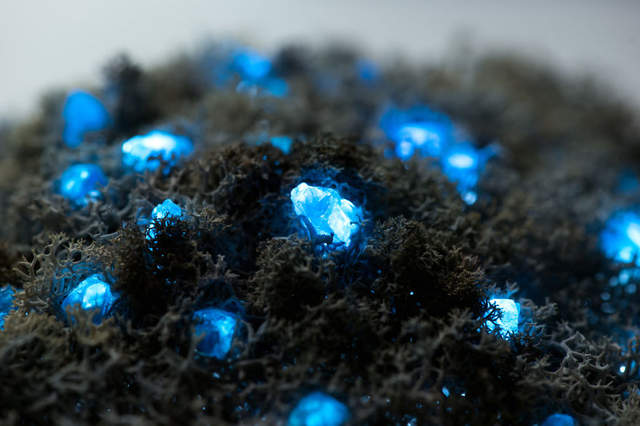 《水晶礦物燈》用真正的木頭、青苔跟水晶打造的微型景觀燈 《水晶礦物燈》用真正的木頭、青苔跟水晶打造的微型景觀燈