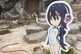 宅宅擠爆《動物朋友與東武動物公園合作企劃》動物們也對這些朋友很好奇…… 宅宅擠爆《動物朋友與東武動物公園合作企劃》動物們也對這些朋友很好奇……