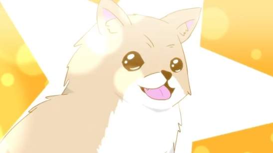 《想看大塚明夫配音的博美狗》網友超強腦洞接力竟然誕生出了動畫