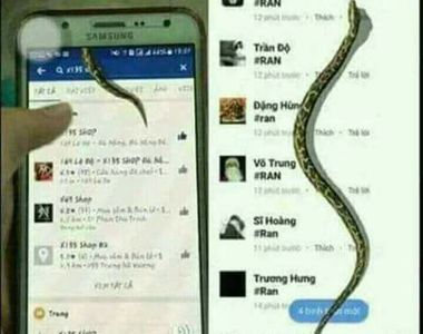 新FB彩蛋?《我的FB上有蛇》輸入關鍵字就可以看到蛇在你臉書上爬 新FB彩蛋?《我的FB上有蛇》輸入關鍵字就可以看到蛇在你臉書上爬