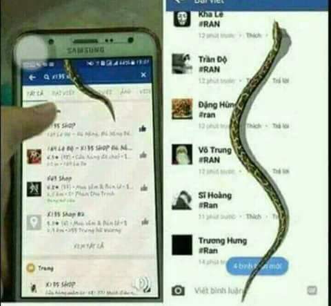 新FB彩蛋?《我的FB上有蛇》輸入關鍵字就可以看到蛇在你臉書上爬 新FB彩蛋?《我的FB上有蛇》輸入關鍵字就可以看到蛇在你臉書上爬