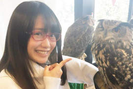 《十大動物咖啡廳》日本年輕人最想去被療癒一下的地方 《十大動物咖啡廳》日本年輕人最想去被療癒一下的地方