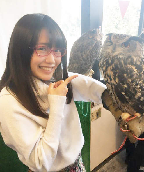 《十大動物咖啡廳》日本年輕人最想去被療癒一下的地方