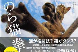 日本大熱賣《喵喵拳寫真書》擄獲貓奴的心 登上Amazon第一位啦 日本大熱賣《喵喵拳寫真書》擄獲貓奴的心 登上Amazon第一位啦