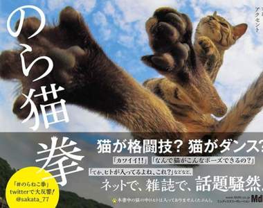 日本大熱賣《喵喵拳寫真書》擄獲貓奴的心 登上Amazon第一位啦 日本大熱賣《喵喵拳寫真書》擄獲貓奴的心 登上Amazon第一位啦