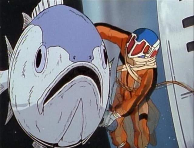 內行人才懂的《鮪魚生魚片挑選法》看準筋目才不會當冤大頭……