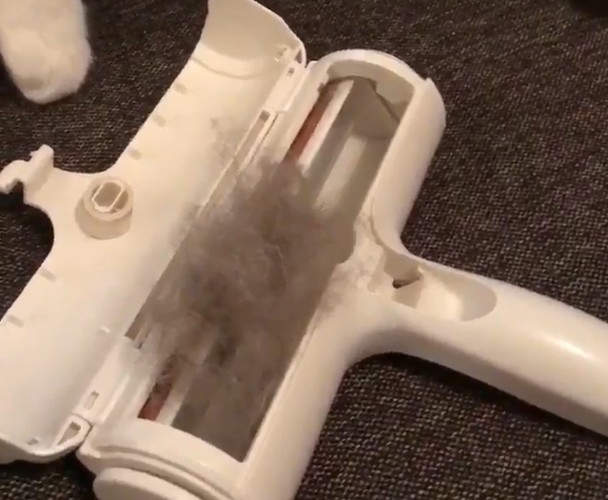 毛孩父母必見《除毛神器》看似一般的滾筒黏把但威力完全超乎想像... 毛孩父母必見《除毛神器》看似一般的滾筒黏把但威力完全超乎想像...