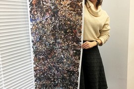 三周年紀念《碧藍幻想》大手筆廣告至少砸了一億円以上? 三周年紀念《碧藍幻想》大手筆廣告至少砸了一億円以上?