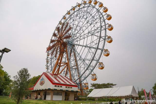 動物園合作企劃《說好的主角藪貓在哪裡》請宅宅花600圓搭摩天輪…… - 圖片5