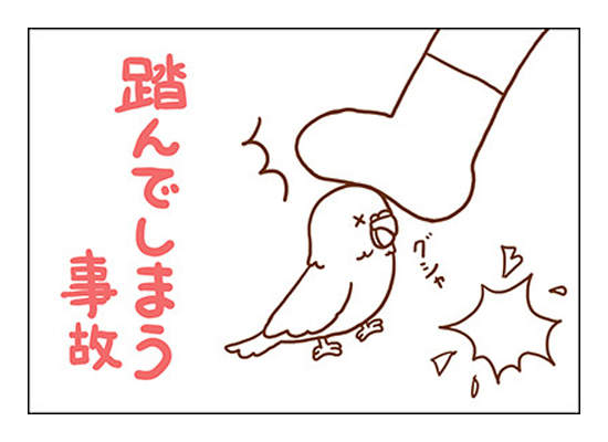 飼主注意《鸚鵡的死亡意外》和人類一起生活的小動物其實暴露在危險之中... 飼主注意《鸚鵡的死亡意外》和人類一起生活的小動物其實暴露在危險之中...
