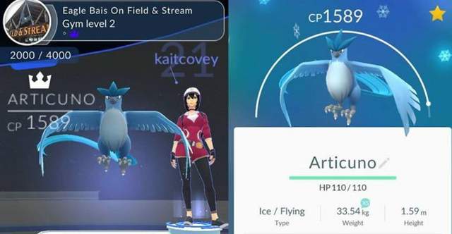 Pokemon GO《今年內將追加傳說寶可夢》不曉得會是追加哪些神奇寶貝呢? Pokemon GO《今年內將追加傳說寶可夢》不曉得會是追加哪些神奇寶貝呢?