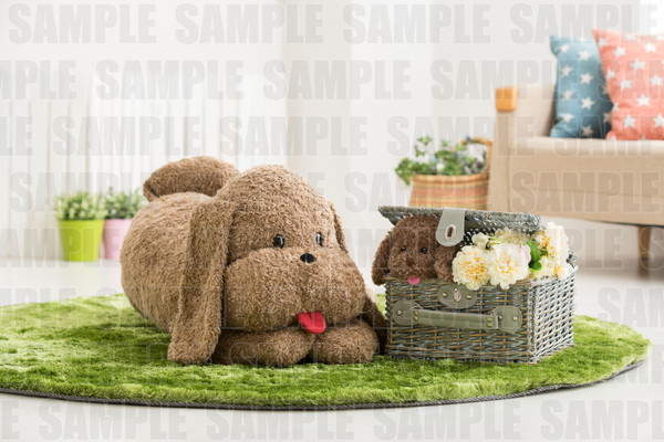 想抱抱《YURI!!! on ICE》維克托＆勇利的愛犬1比1大小絨毛玩偶❤