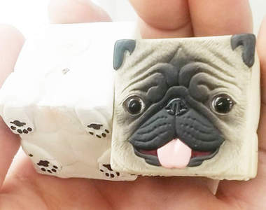 《箱箱巴哥犬》正方型的臉蛋外加屁屁真可愛 《箱箱巴哥犬》正方型的臉蛋外加屁屁真可愛