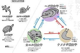 《腐女生態鏈》四格漫畫 踩到雷就像蛞蝓被撒鹽(瞬間脫水而死) 《腐女生態鏈》四格漫畫 踩到雷就像蛞蝓被撒鹽(瞬間脫水而死)