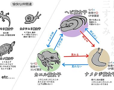 《腐女生態鏈》四格漫畫 踩到雷就像蛞蝓被撒鹽(瞬間脫水而死) 《腐女生態鏈》四格漫畫 踩到雷就像蛞蝓被撒鹽(瞬間脫水而死)