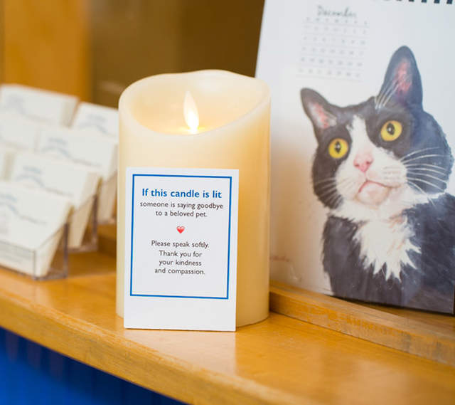 《歐美獸醫院的貼心舉動》點蠟燭表示裏頭有人正在跟寵物做最後的道別...