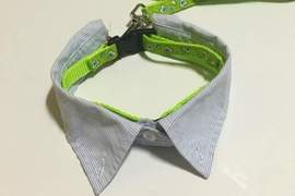 活用衣服DIY《假領項圈》想省錢的毛爸毛媽往這看 活用衣服DIY《假領項圈》想省錢的毛爸毛媽往這看