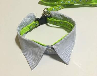 活用衣服DIY《假領項圈》想省錢的毛爸毛媽往這看 活用衣服DIY《假領項圈》想省錢的毛爸毛媽往這看