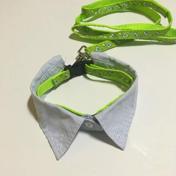 活用衣服DIY《假領項圈》想省錢的毛爸毛媽往這看