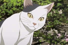 動物差別待遇話題《動畫殺貓為什麼會反感》換成殺魚就完全無感了…… 動物差別待遇話題《動畫殺貓為什麼會反感》換成殺魚就完全無感了……