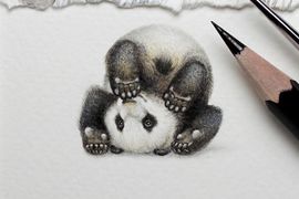 《迷你微型水彩繪畫》這些可愛的小動物都不超過3公分大 《迷你微型水彩繪畫》這些可愛的小動物都不超過3公分大
