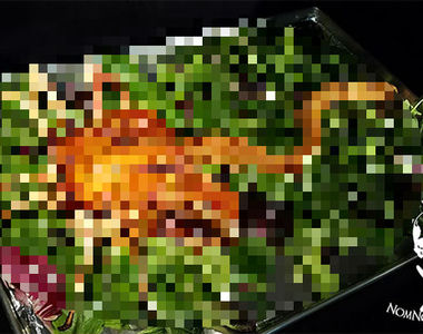 感恩節變成黑暗料理對決《絕對不敢吃的異形感恩節大餐》還沒吃就想吐一波先...... 感恩節變成黑暗料理對決《絕對不敢吃的異形感恩節大餐》還沒吃就想吐一波先......
