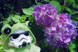 激萌星際大戰《穿著青蛙雨衣的機動步兵》稀哩稀哩嘩啦嘩啦雨下來了♪ 激萌星際大戰《穿著青蛙雨衣的機動步兵》稀哩稀哩嘩啦嘩啦雨下來了♪